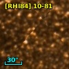 [RHI84] 10-81