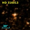 HD 316013