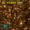 V* V2480 Oph