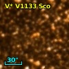 V* V1133 Sco