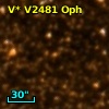 V* V2481 Oph