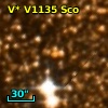 V* V1135 Sco