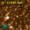V* V2484 Oph
