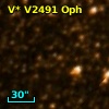 V* V2491 Oph