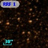 RRF    1