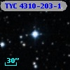 TYC 4310-203-1