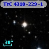 TYC 4310-229-1