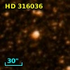 HD 316036