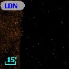 LDN 1764