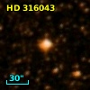 HD 316043