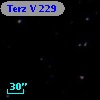 Terz V  229