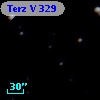 Terz V  329