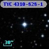 TYC 4310-828-1