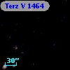 Terz V 1464