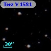 Terz V 1581