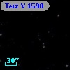 Terz V 1590