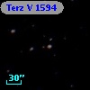 Terz V 1594