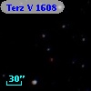 Terz V 1608