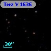 Terz V 1636