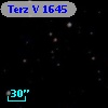 Terz V 1645