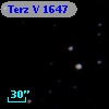 Terz V 1647
