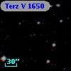 Terz V 1650