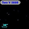 Terz V 1660