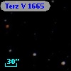 Terz V 1665