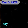 Terz V 1678