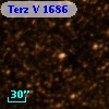 Terz V 1686