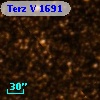 Terz V 1691