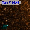 Terz V 1694