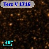 Terz V 1716