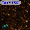 Terz V 1737