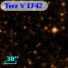 Terz V 1742