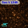 Terz V 1749
