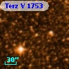 Terz V 1753