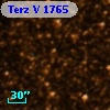 Terz V 1765