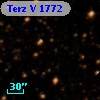 Terz V 1772