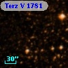 Terz V 1781