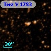Terz V 1783