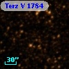 Terz V 1784