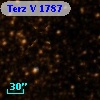 Terz V 1787