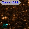Terz V 1794