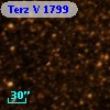 Terz V 1799