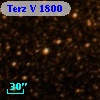Terz V 1800