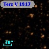 Terz V 1817