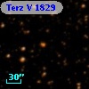 Terz V 1829
