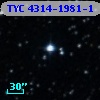 TYC 4314-1981-1