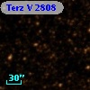 Terz V 2808